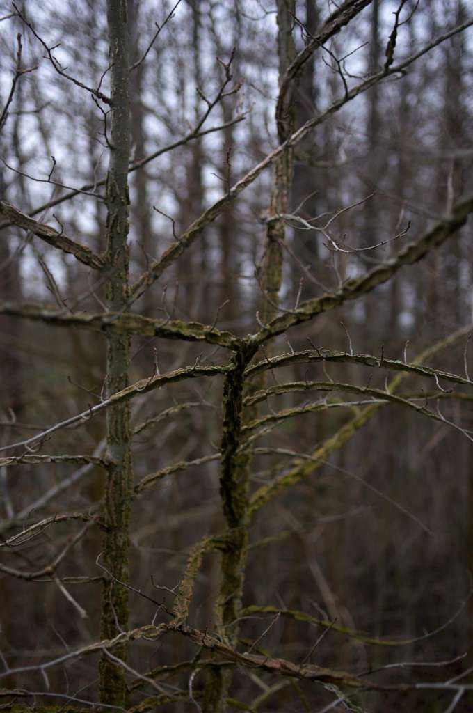 IMGP0308-1024.jpg