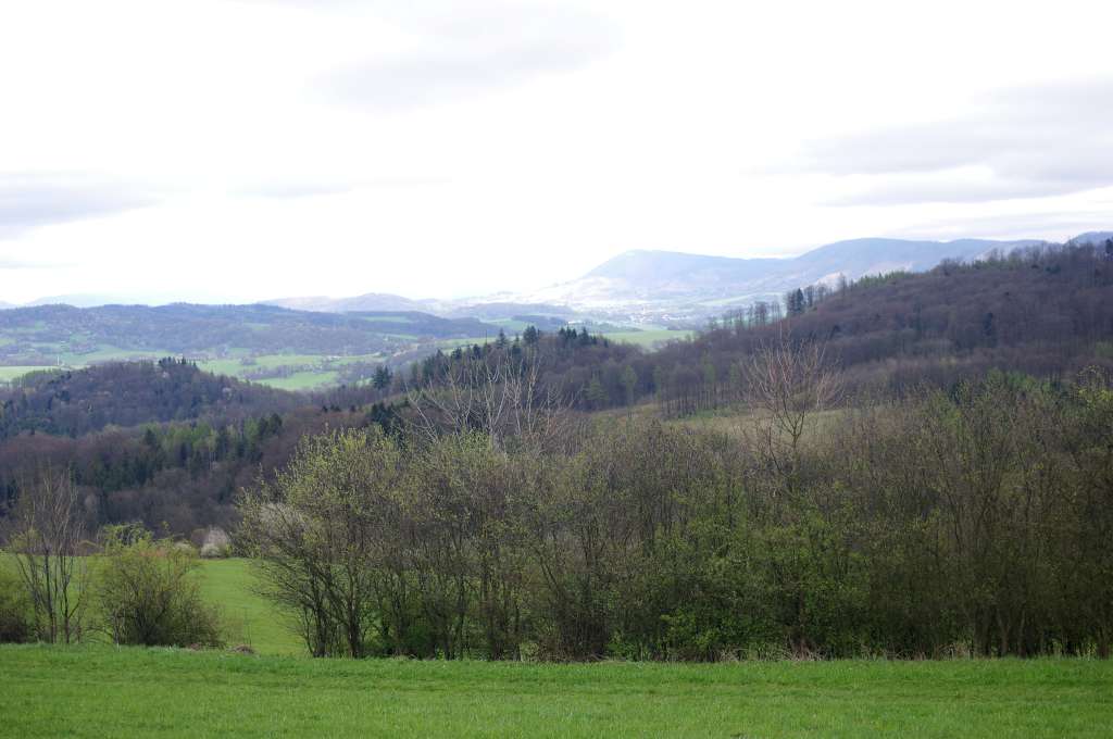 IMGP0659-1024.jpg