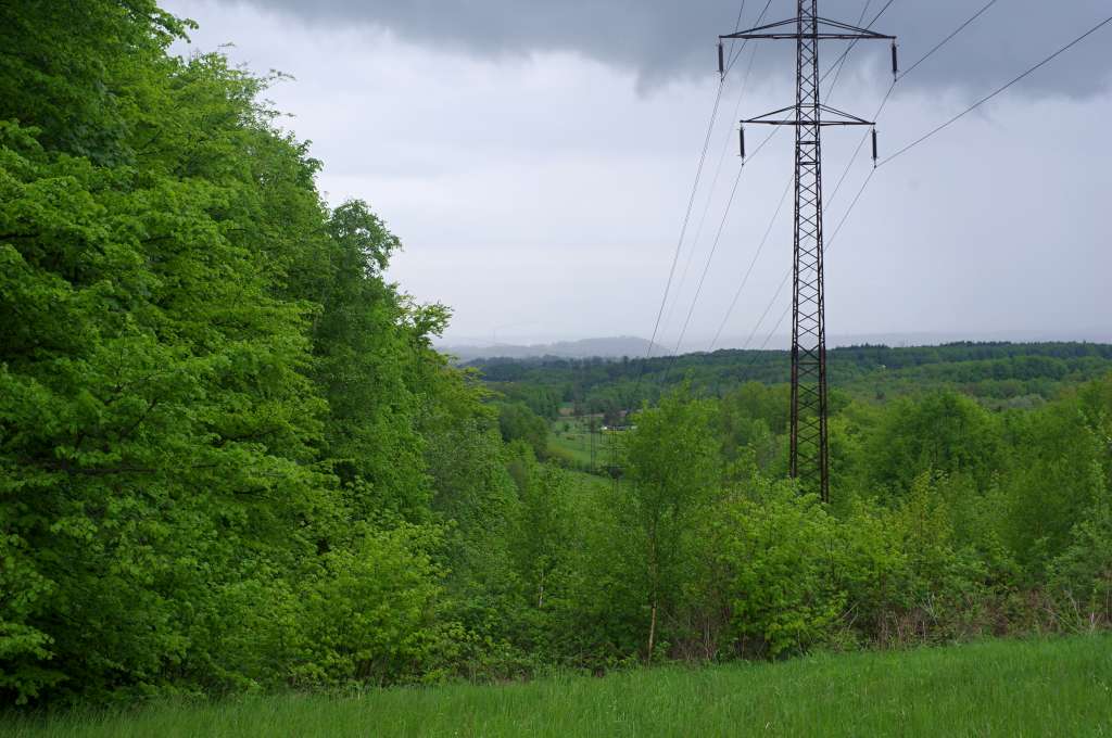 IMGP1320-1024.jpg