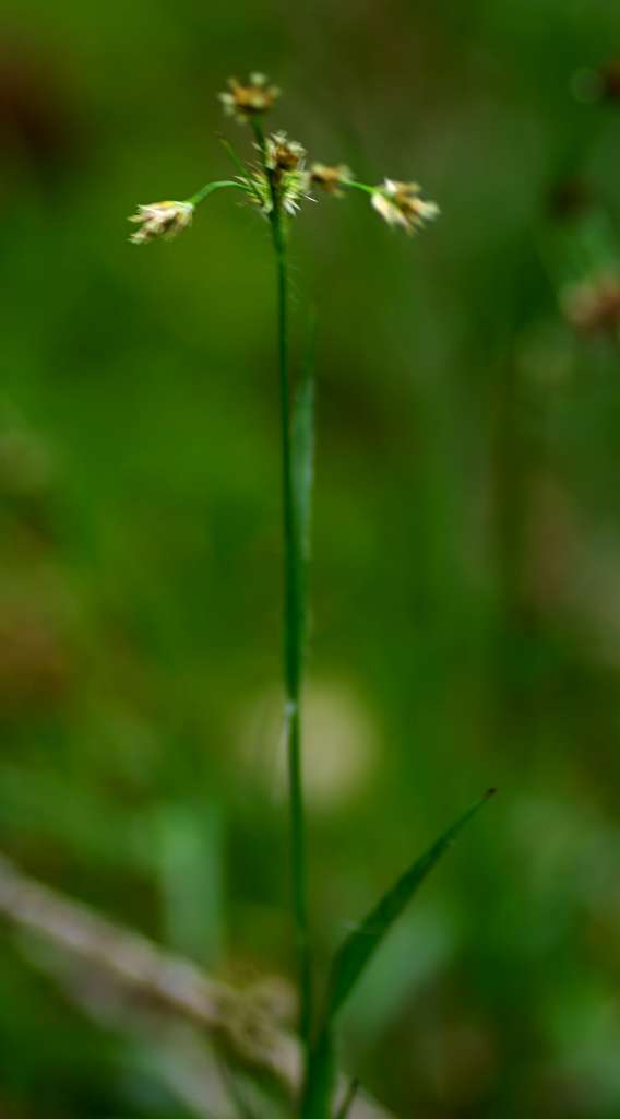 IMGP1492-1024.jpg