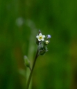 IMGP1302-1024.jpg