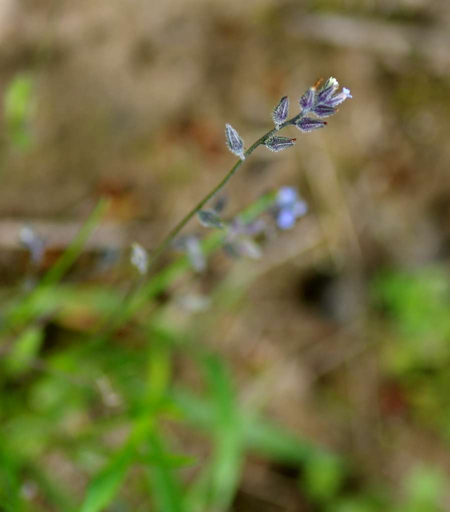 IMGP1895-1024.jpg