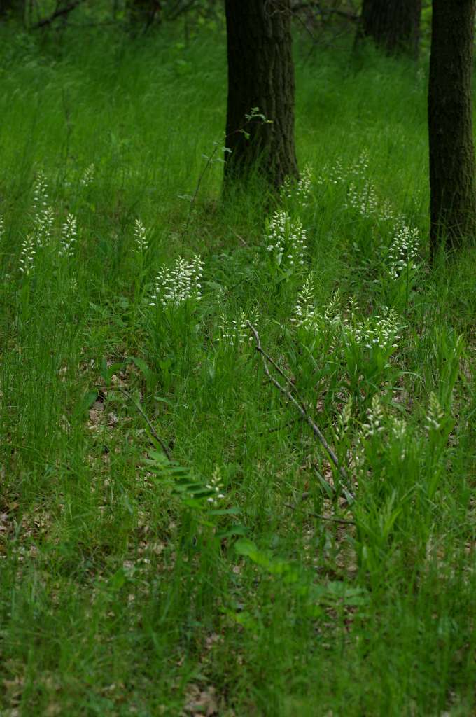 IMGP1911-1024.jpg