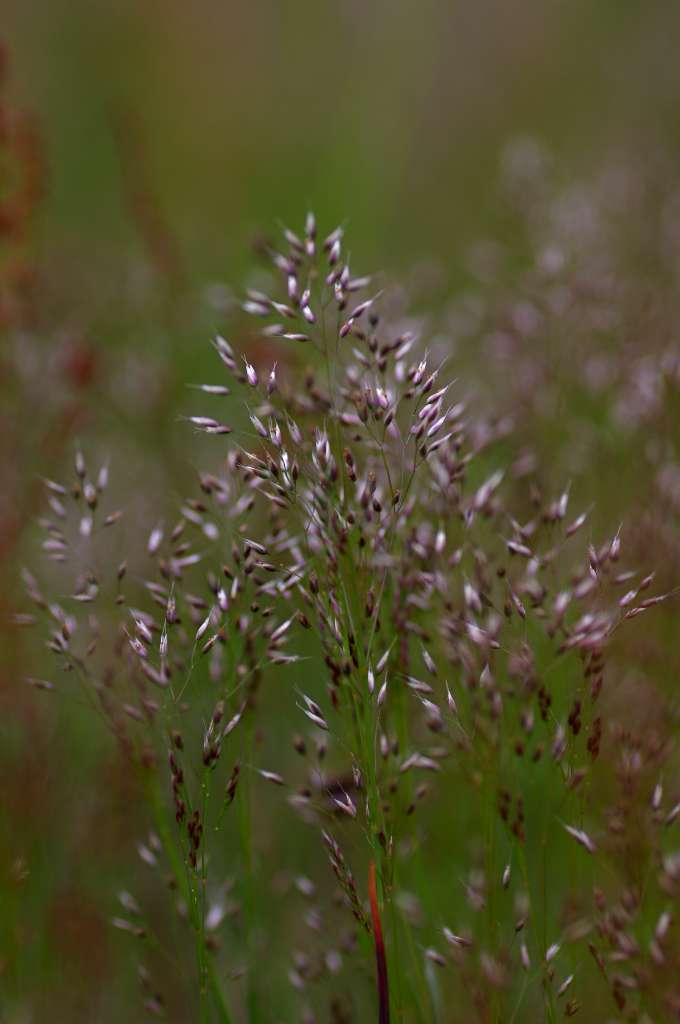 IMGP2011-1024.jpg