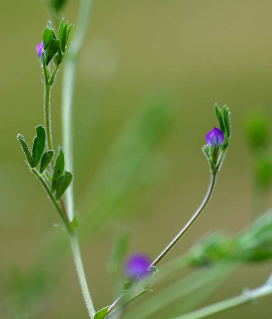 IMGP2540-1024~0.jpg