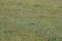 Název souboru=IMGP3188-1024.jpg
Velikost souboru=143KB
Rozměry=1024x680
Datum přidání=16. Červenec 2021 IMGP3188-1024.jpg