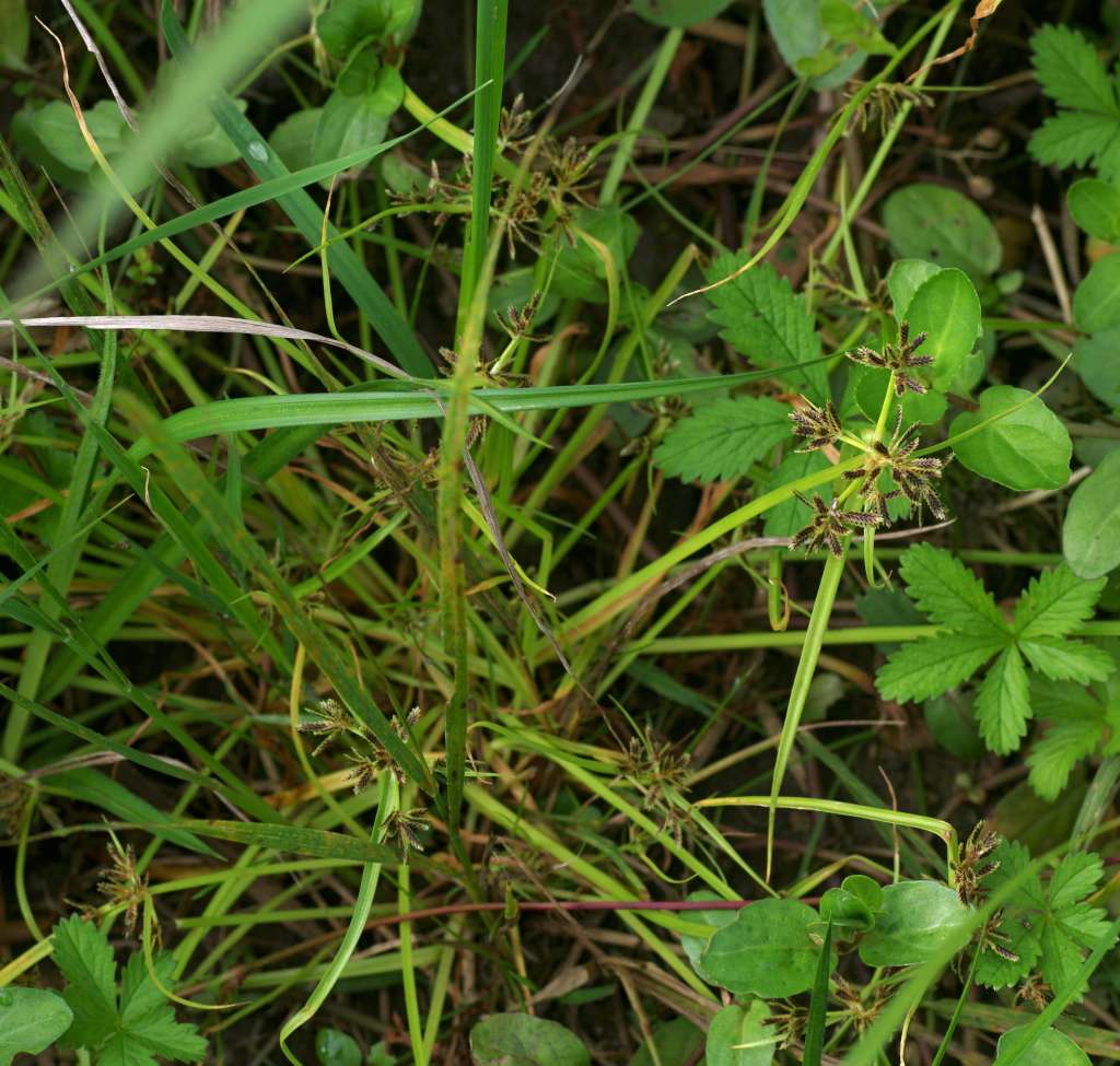 IMGP4822-1024.jpg