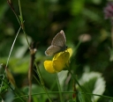 IMGP5282-1024.jpg