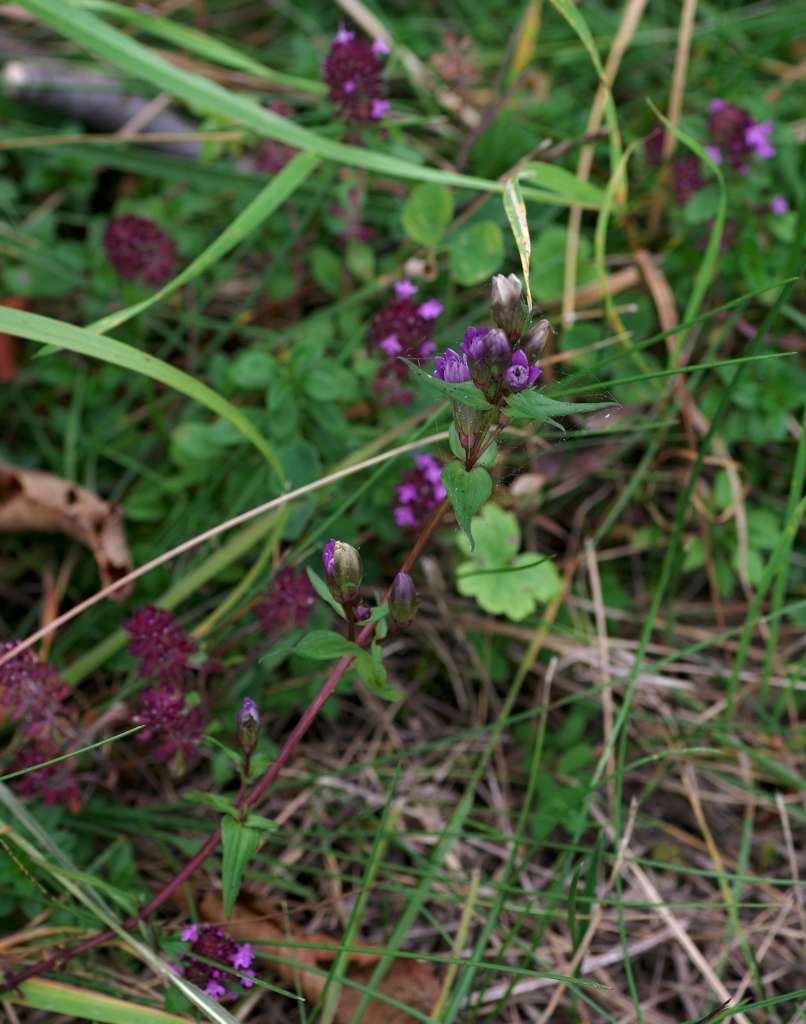 IMGP5400-1024.jpg