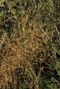 IMGP6010-1024.jpg