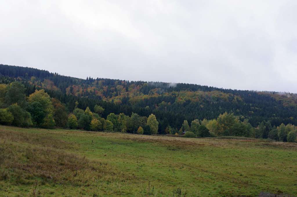 IMGP6026-1024.jpg