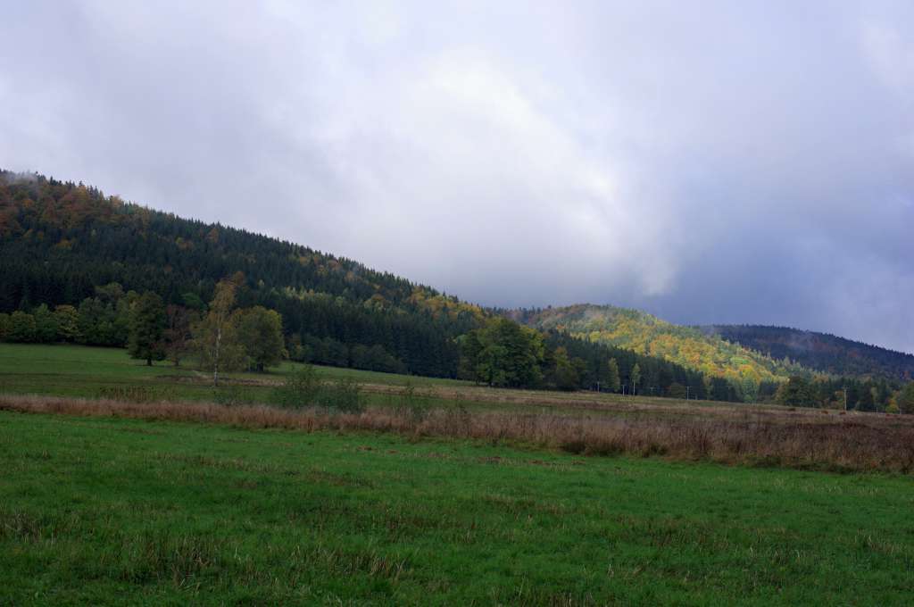IMGP6029-1024.jpg