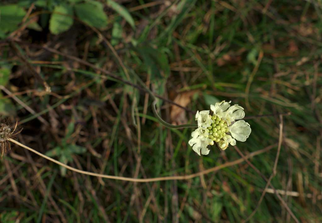 IMGP6042-1024.jpg