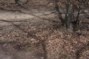 IMGP7010-1024.jpg