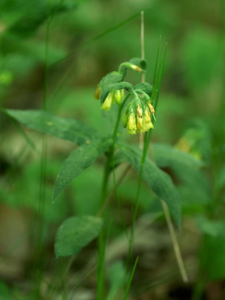 IMGP7927-1024.jpg