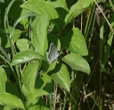 IMGP7913-1024.jpg