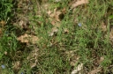 IMGP7924-1024.jpg