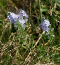 IMGP7966-1024.jpg
