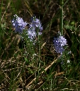 IMGP7967-1024.jpg