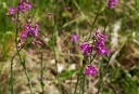 IMGP7968-1024.jpg