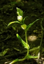 IMGP7977-1024.jpg