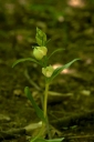 IMGP7985-1024.jpg