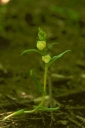 IMGP7991-1024.jpg