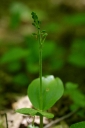 IMGP7997-1024.jpg