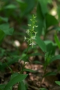 IMGP8473-1024.jpg