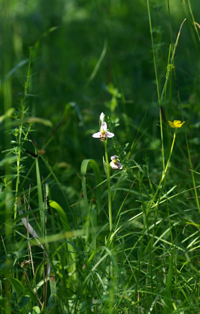 IMGP8843-1024.jpg
