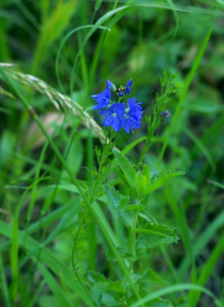 IMGP8922-1024.jpg