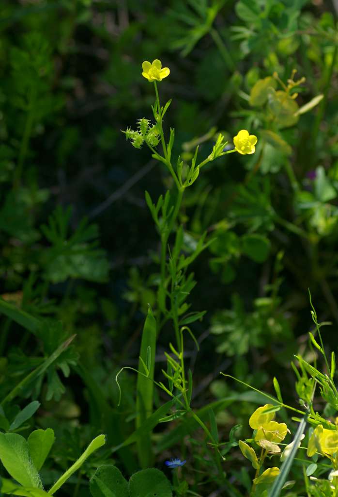 IMGP8932-1024.jpg