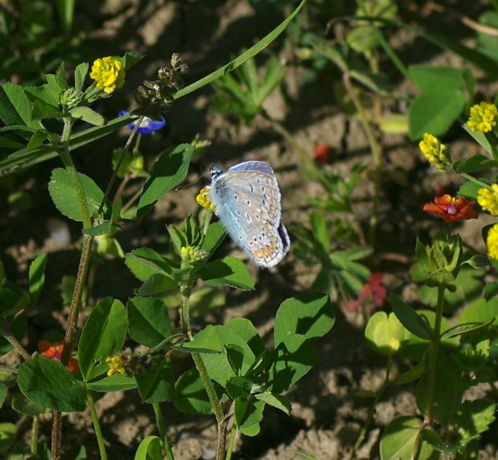 IMGP8941-1024.jpg