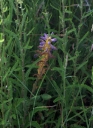 IMGP9265-1024.jpg