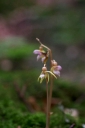 IMGP0268-1024.jpg