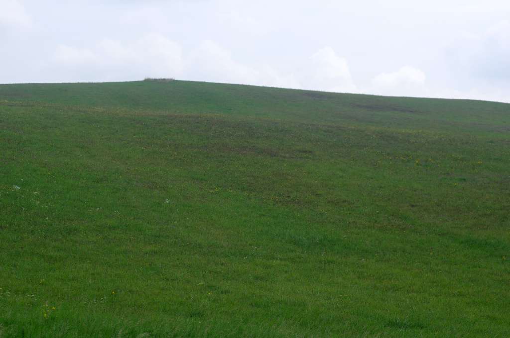 IMGP0851-1024.jpg