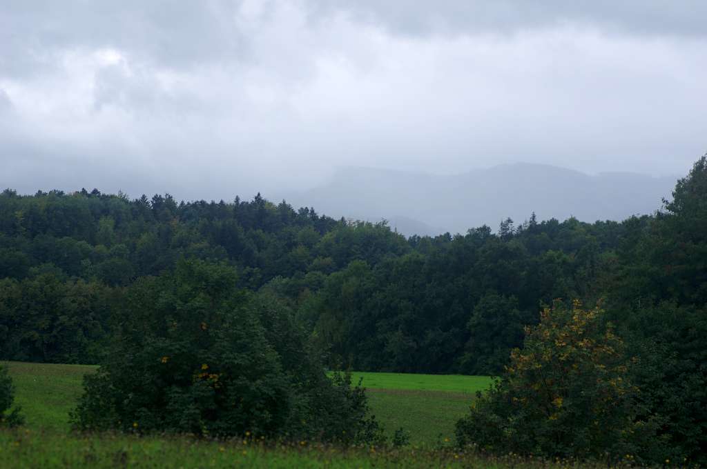 IMGP1149-1024.jpg