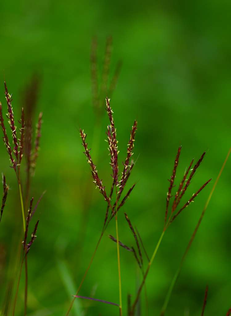 IMGP1217-1024.jpg