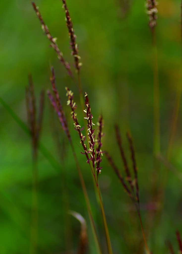 IMGP1222-1024.jpg