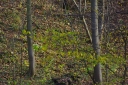 Název souboru=IMGP1641-1024.jpg
Velikost souboru=161KB
Rozměry=1024x680
Datum přidání=01. Prosinec 2022 IMGP1641-1024.jpg
