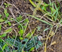 IMGP1824-1024.jpg