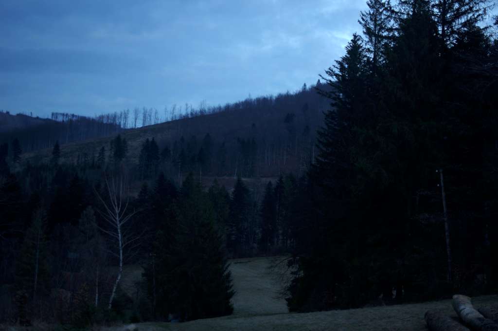 IMGP2398-1024~0.jpg