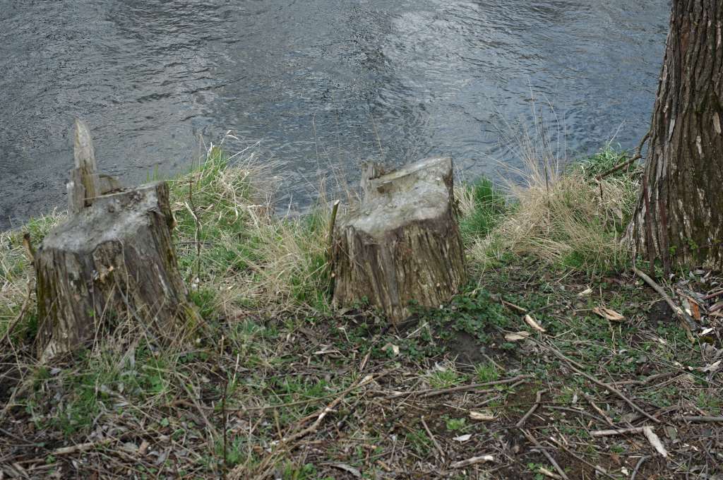IMGP2576-1024.jpg
