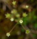 IMGP2714-1024.jpg