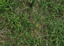 IMGP2723-1024.jpg