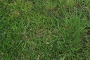 IMGP2724-1024.jpg