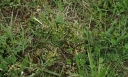 IMGP2725-1024.jpg