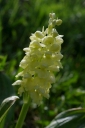 IMGP2890-1024.jpg