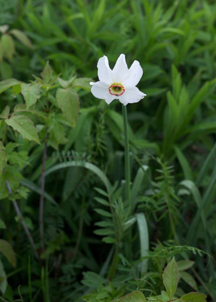 IMGP3051-1024.jpg