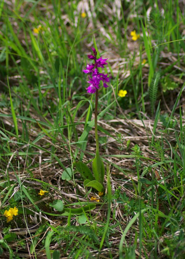 IMGP3781-1024.jpg
